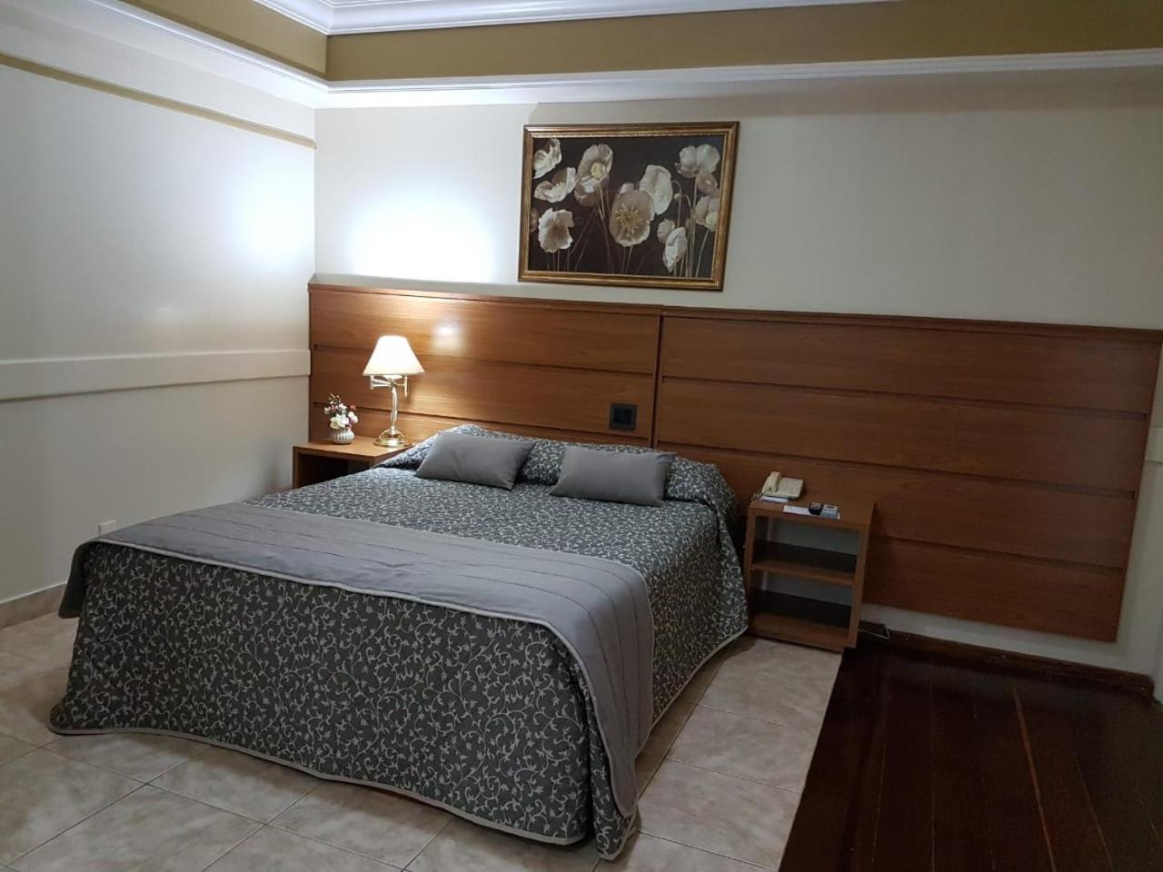 Tamareiras Park Hotel Uberaba Kültér fotó